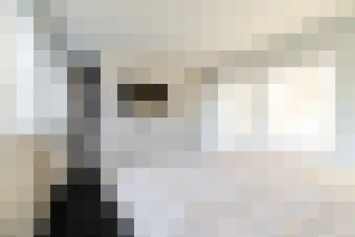 Vesta 5 Katwijk thumbnail 27