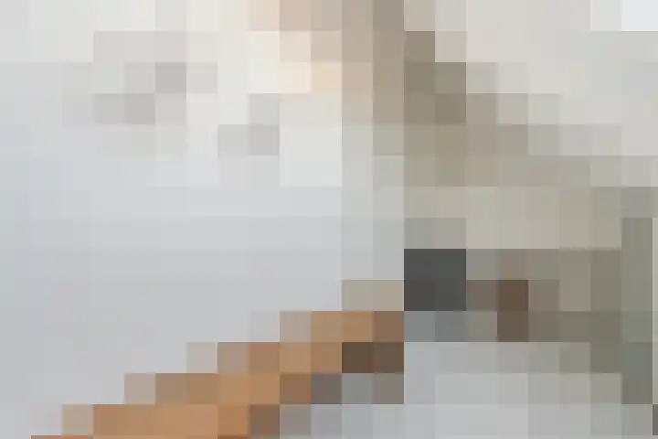 Vesta 5 Katwijk thumbnail 40