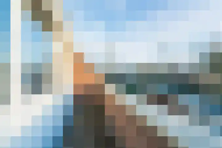 Vesta 5 Katwijk thumbnail 42
