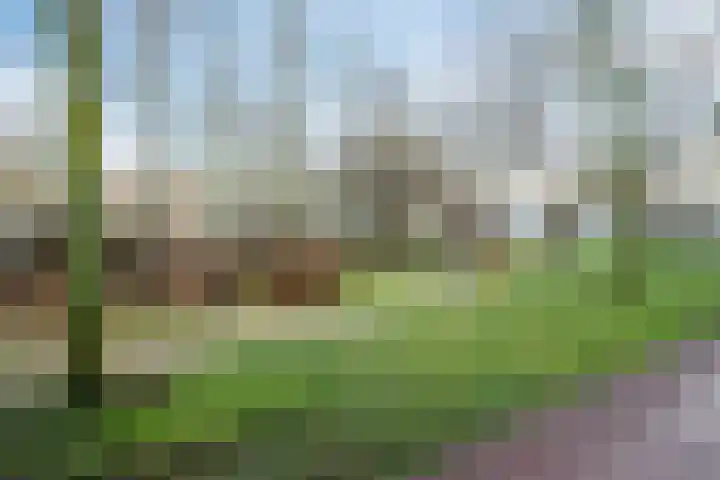 Vesta 5 Katwijk thumbnail 47