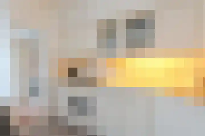 Vesta 8 Hoogezand thumbnail 17
