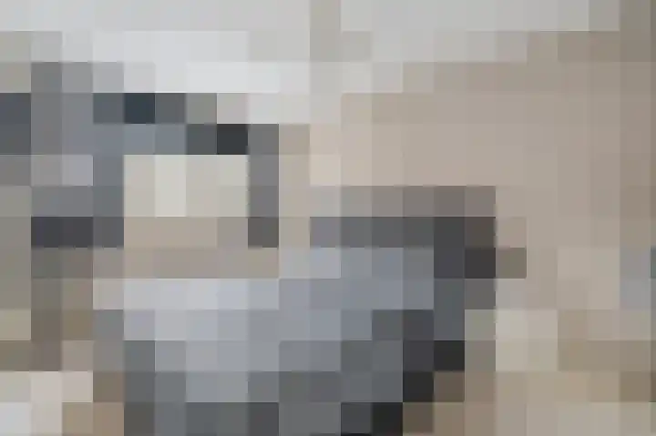 Vesta 8 Hoogezand thumbnail 31