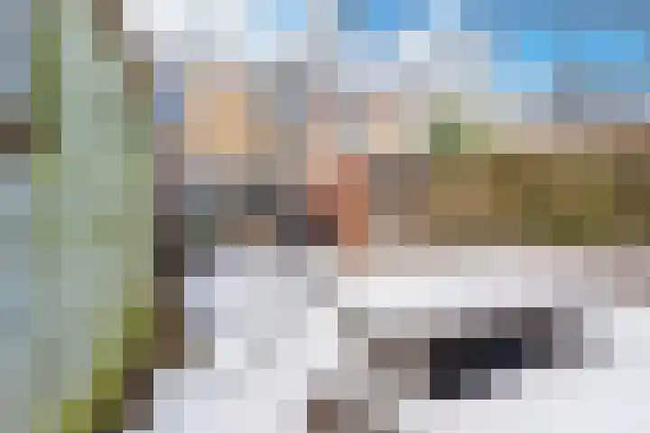 Vesta 8 Hoogezand thumbnail 45