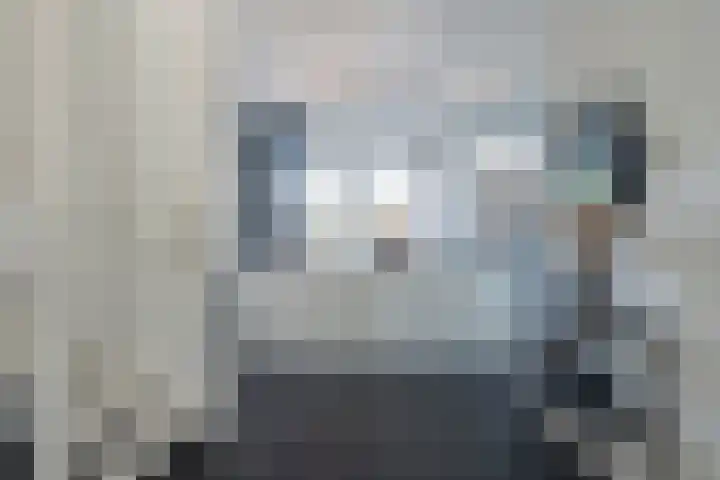 Vesta 9 Born thumbnail 11