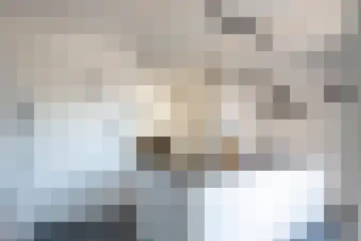 Vesta 9 Born thumbnail 13