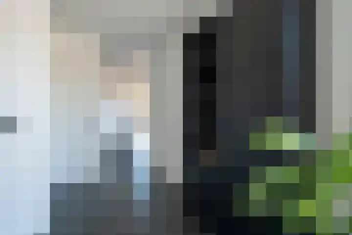 Vesta 9 Born thumbnail 19