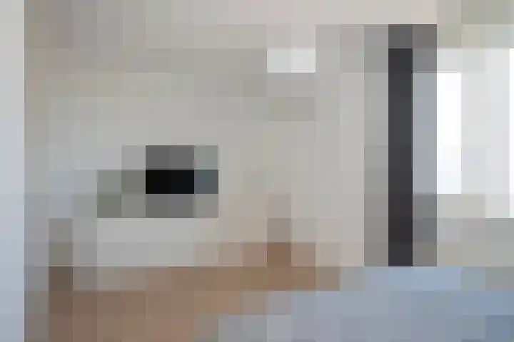 Vesta 9 Born thumbnail 26