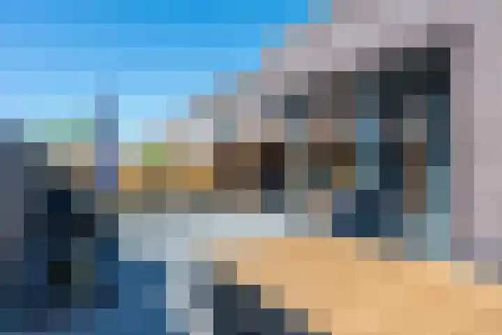 Vesta 9 Born thumbnail 28