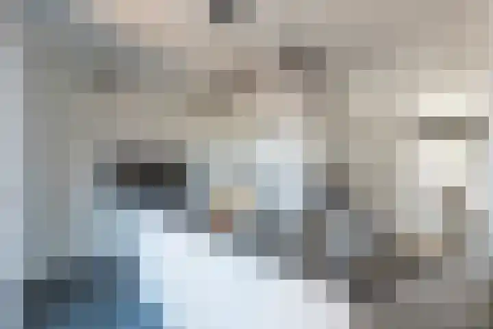Vesta 9 Born foto 3
