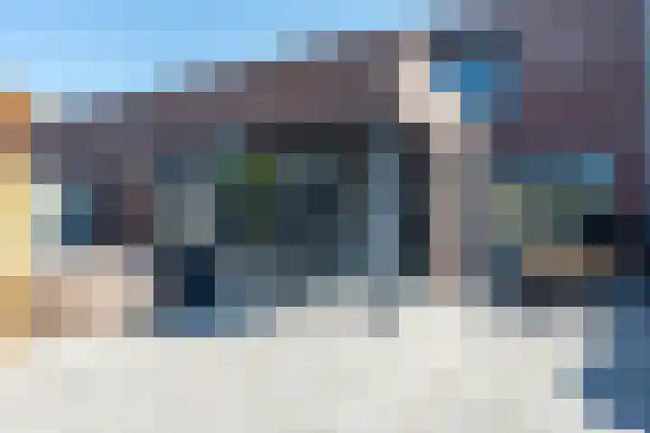 Vesta 9 Born thumbnail 30