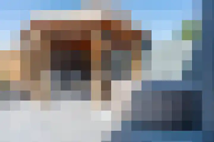 Vesta 9 Born thumbnail 33