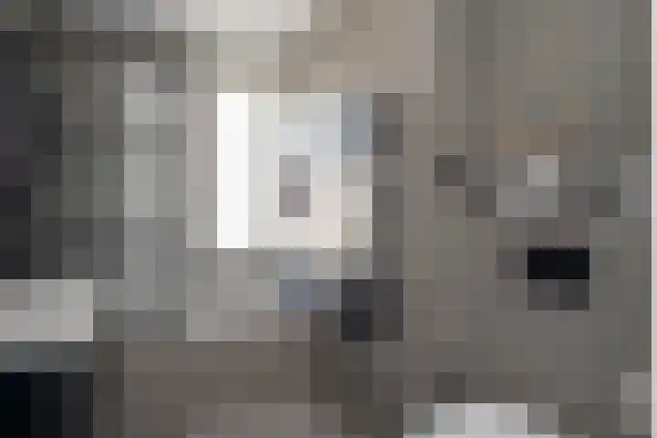 Vesta 9 Born thumbnail 4