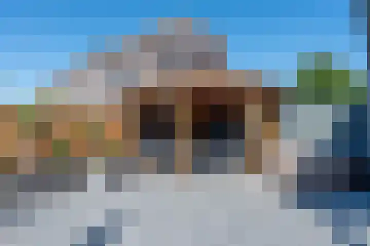 Vesta 9 Born thumbnail 5