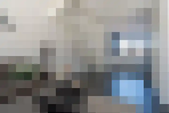 Vesta 9 Born thumbnail 9