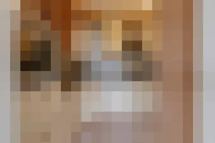 Vesta 9 Wijk bij Duurstede thumbnail 18