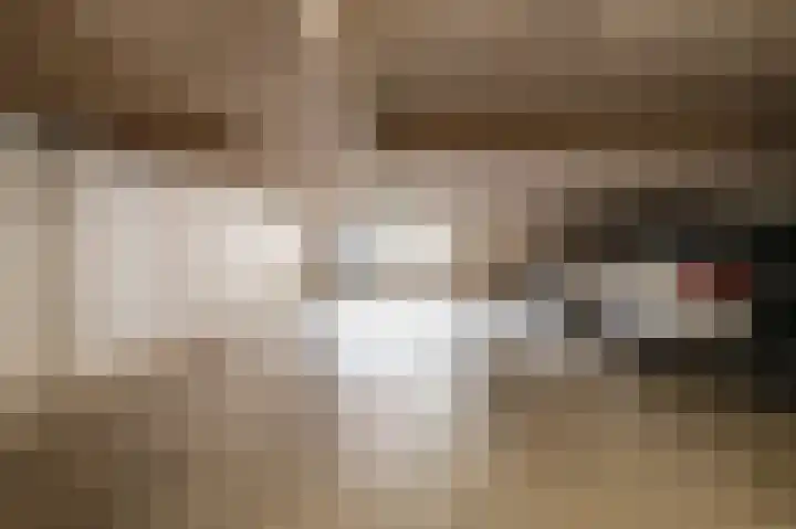 Vesta 9 Wijk bij Duurstede thumbnail 28