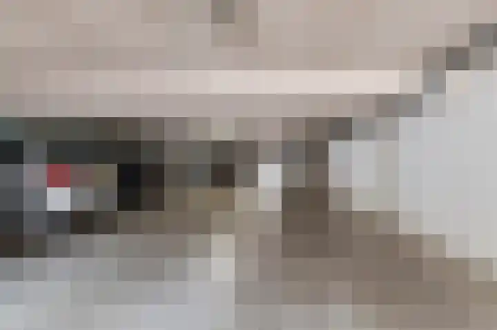 Vesta 9 Wijk bij Duurstede thumbnail 29