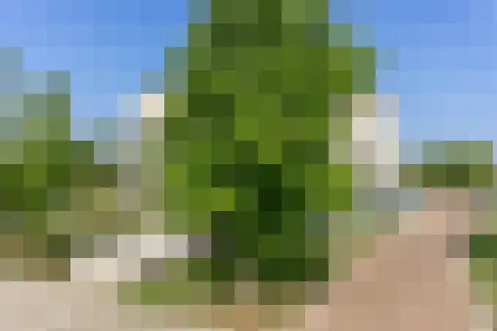 Vesta 9 Wijk bij Duurstede thumbnail 31