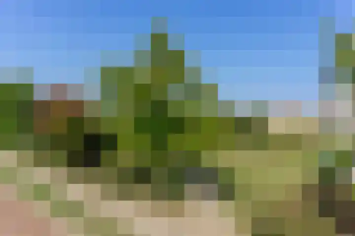 Vesta 9 Wijk bij Duurstede thumbnail 33