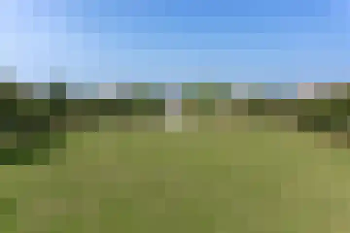 Vesta 9 Wijk bij Duurstede thumbnail 34