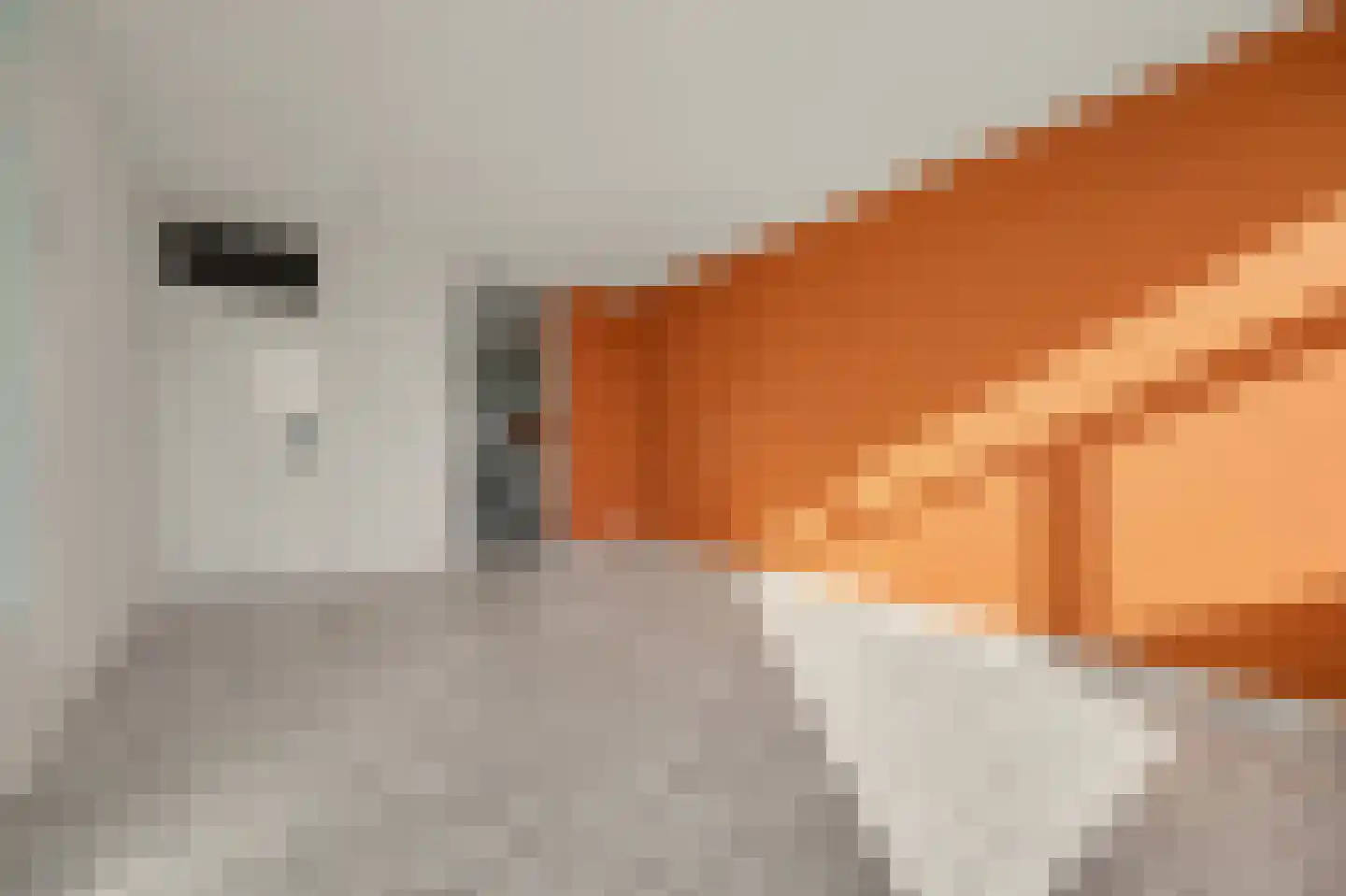 Vestahof 11 Rockanje thumbnail 11