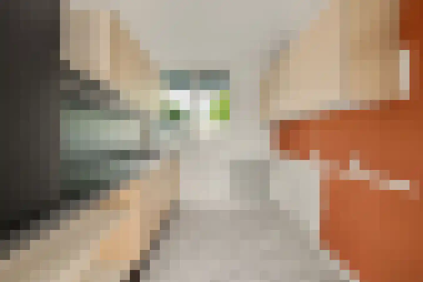 Vestahof 11 Rockanje thumbnail 13