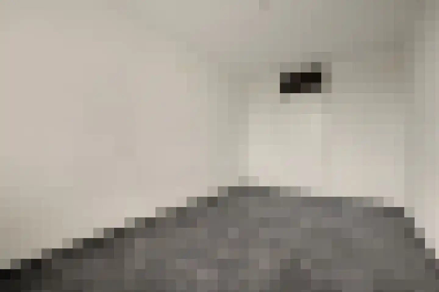 Vestahof 11 Rockanje thumbnail 16