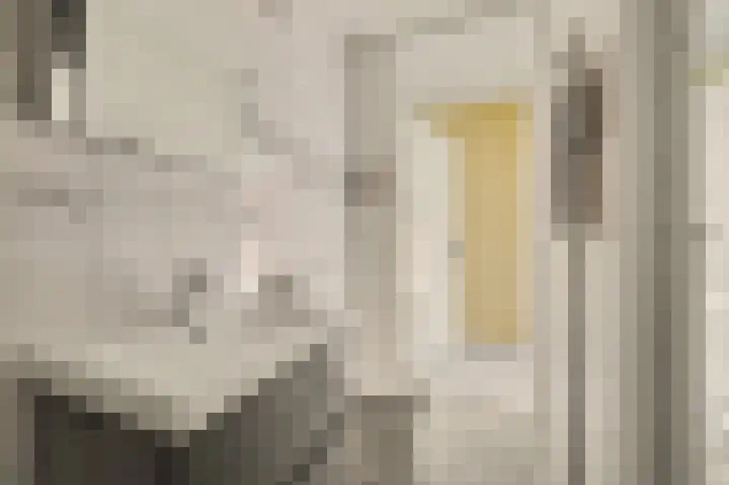 Vestahof 11 Rockanje thumbnail 20