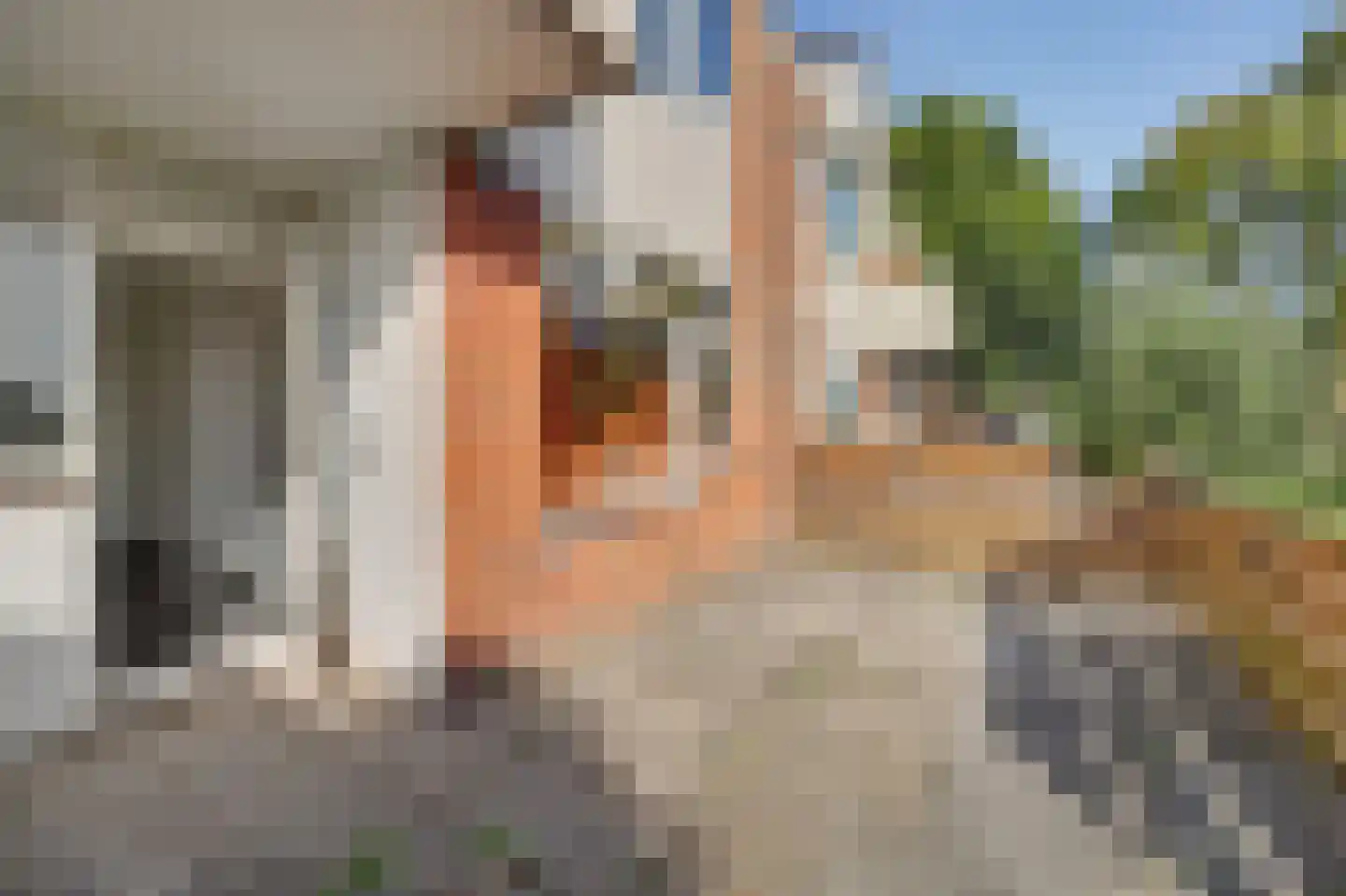 Vestahof 11 Rockanje thumbnail 22