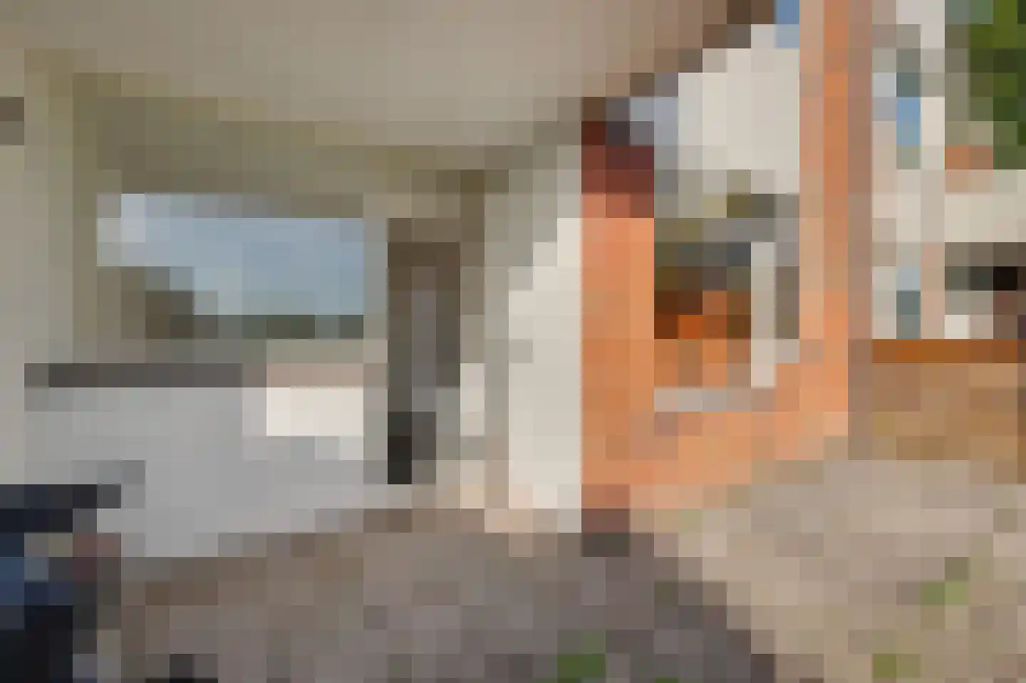 Vestahof 11 Rockanje thumbnail 23