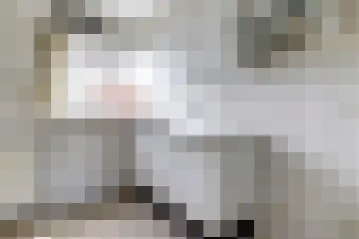 Vestahof 22 Rockanje thumbnail 10