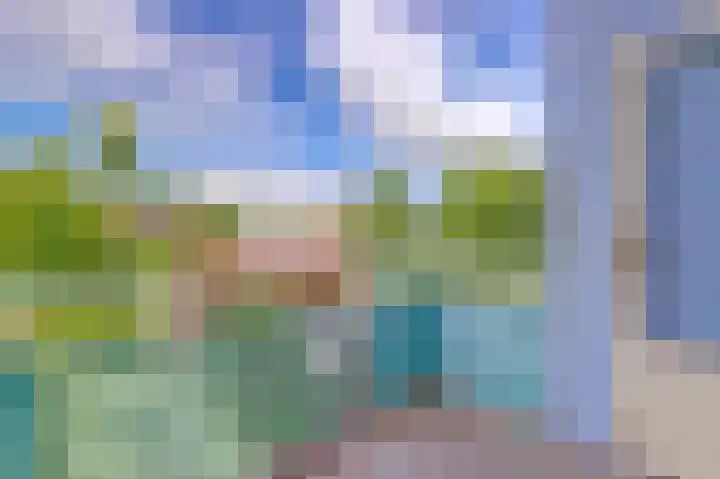 Vestahof 22 Rockanje thumbnail 14