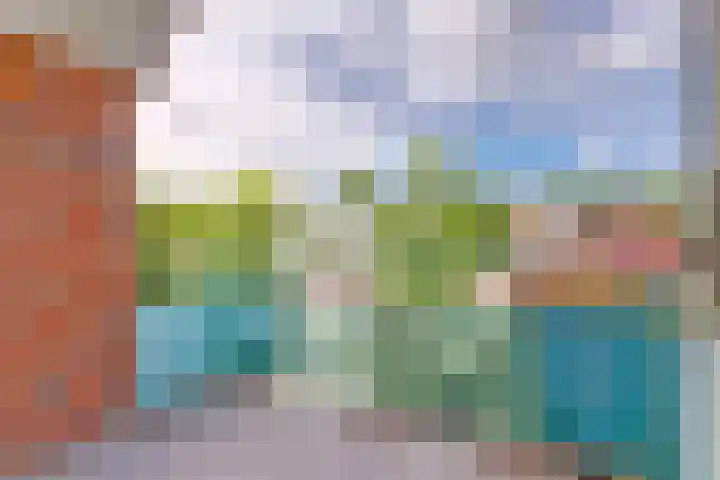 Vestahof 22 Rockanje thumbnail 15