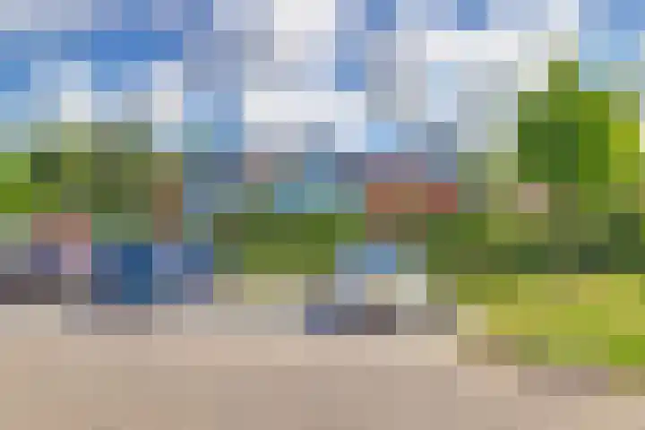 Vestahof 22 Rockanje thumbnail 22