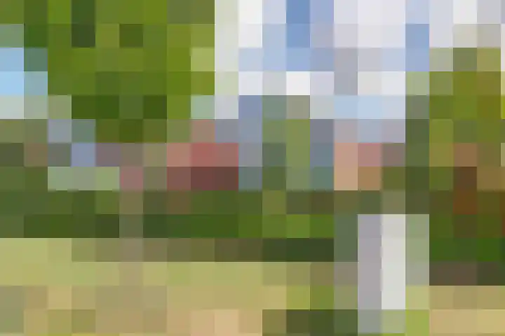 Vestahof 22 Rockanje thumbnail 23