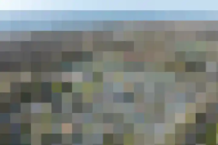 Vestahof 22 Rockanje thumbnail 25