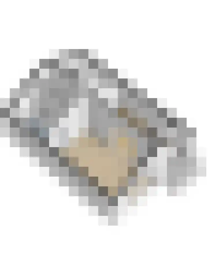 Vestahof 22 Rockanje thumbnail 27