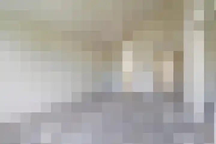 Vestahof 22 Rockanje thumbnail 8
