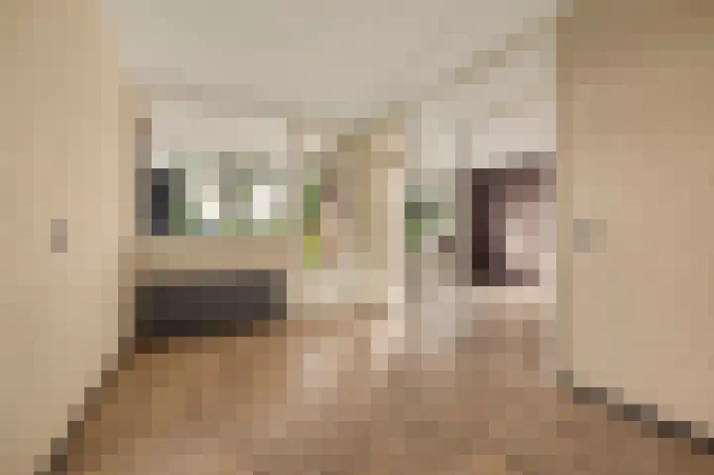 Vestahof 25 Rockanje thumbnail 13
