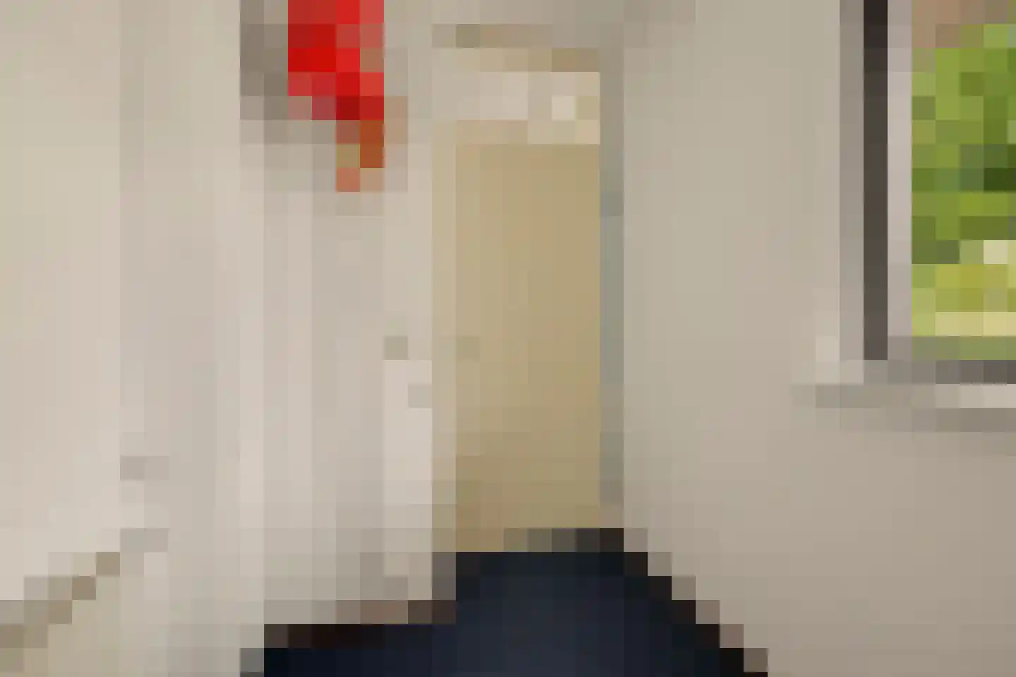 Vestahof 25 Rockanje thumbnail 16
