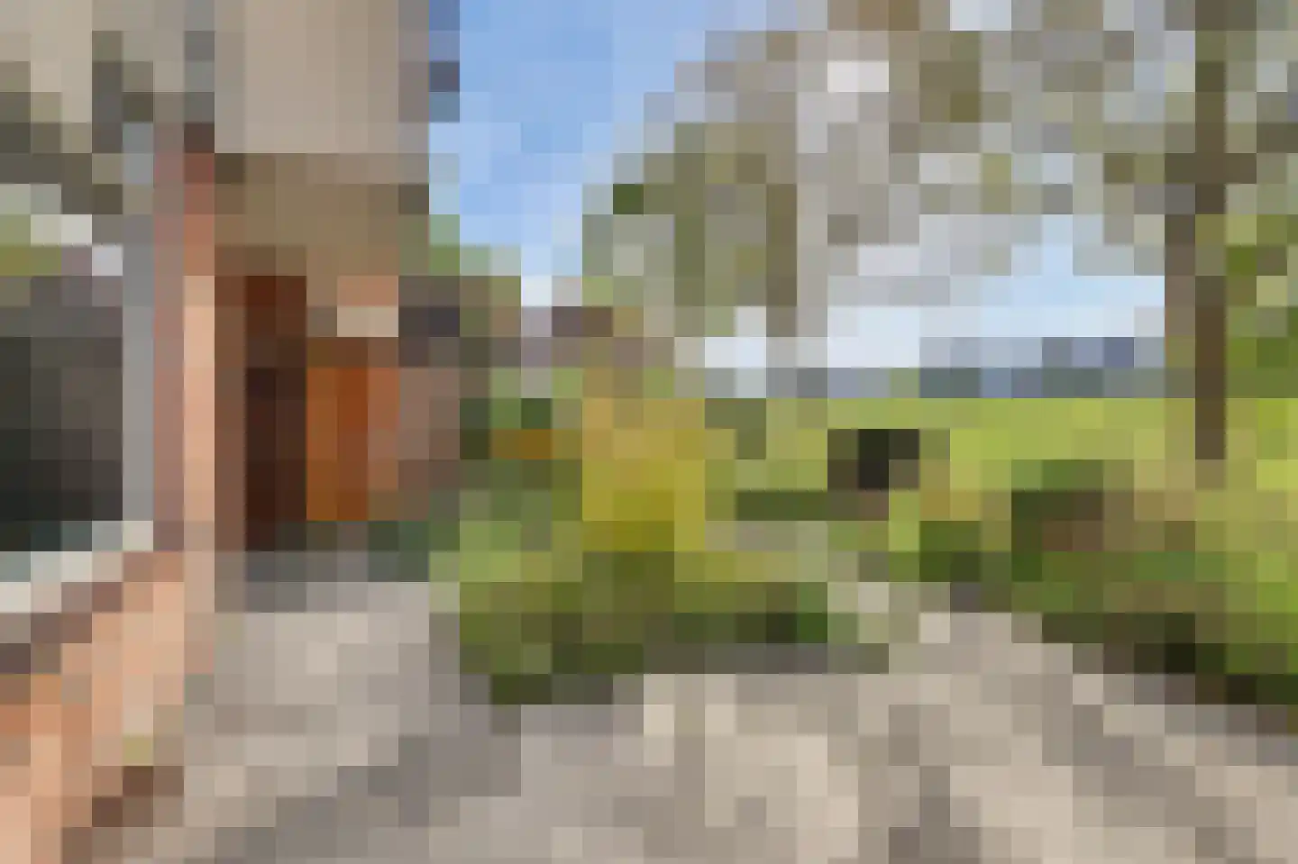 Vestahof 25 Rockanje thumbnail 22