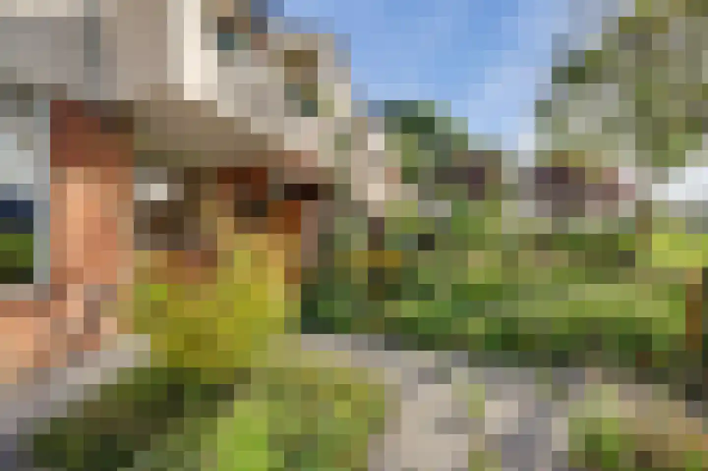 Vestahof 25 Rockanje thumbnail 23