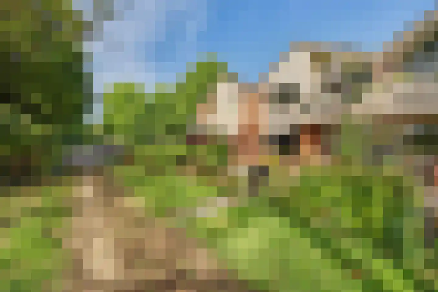 Vestahof 25 Rockanje thumbnail 25