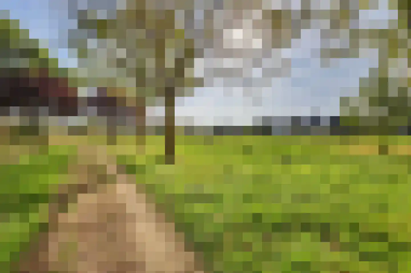 Vestahof 25 Rockanje thumbnail 26