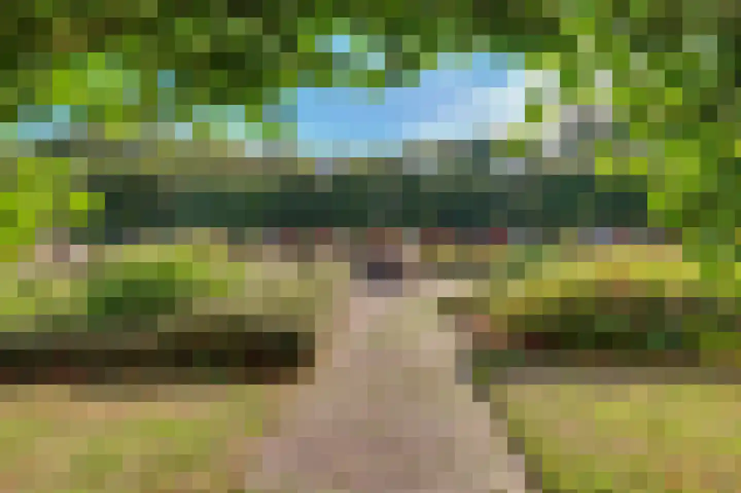 Vestahof 25 Rockanje thumbnail 6