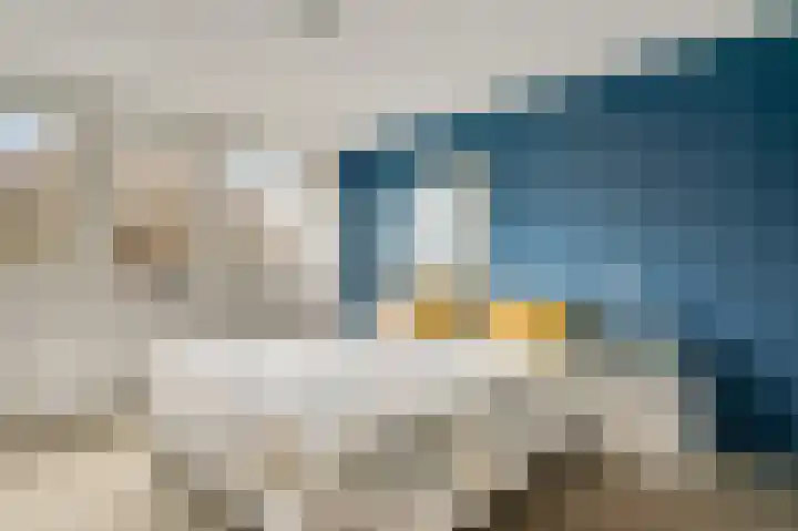Vestahof 3 Maastricht thumbnail 12