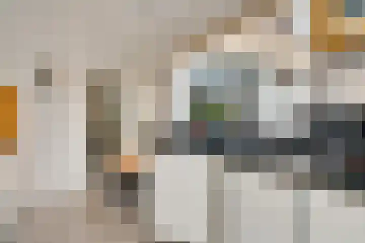 Vestahof 3 Maastricht thumbnail 8
