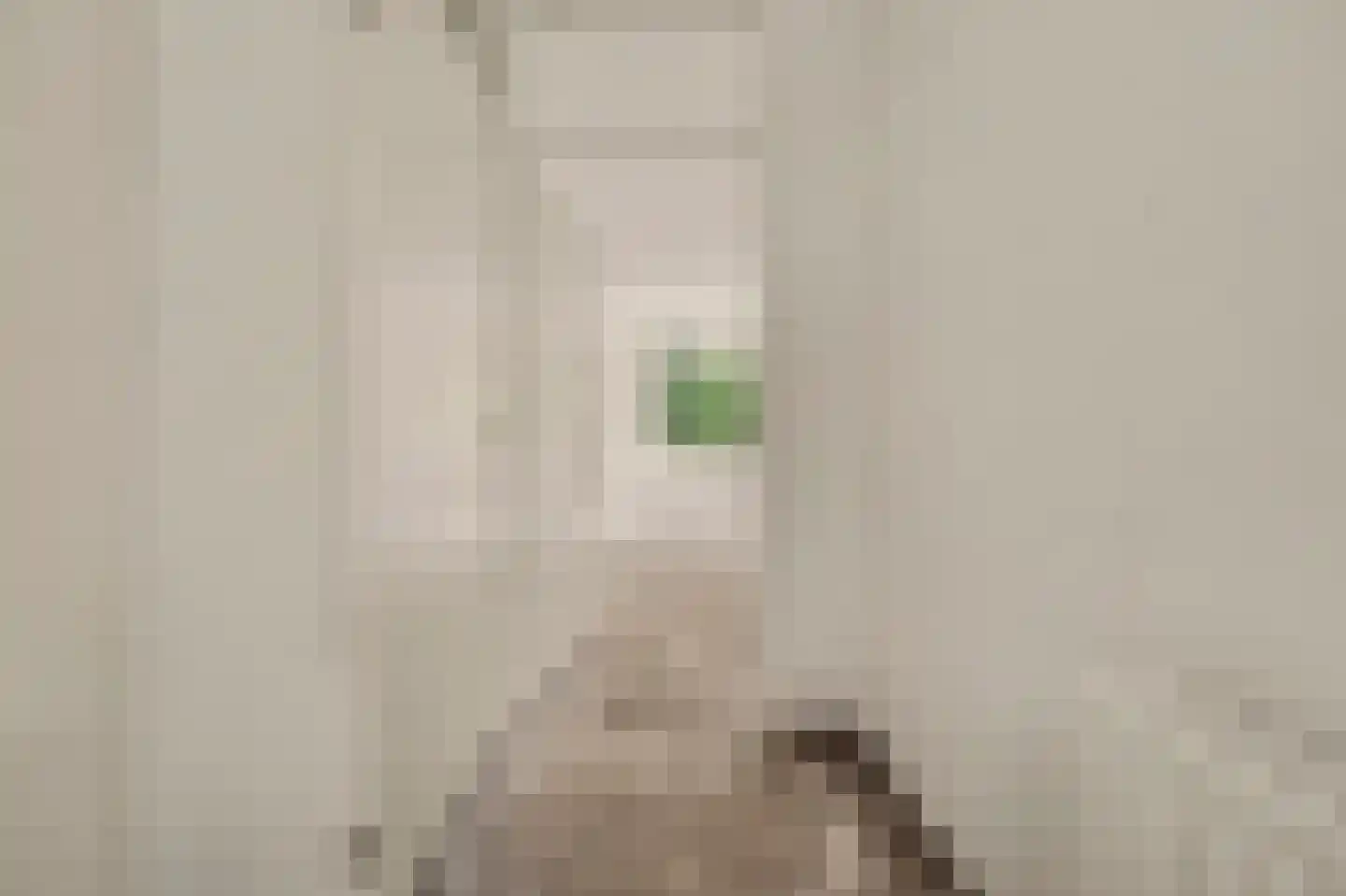 Vestahof 31 Rockanje thumbnail 11