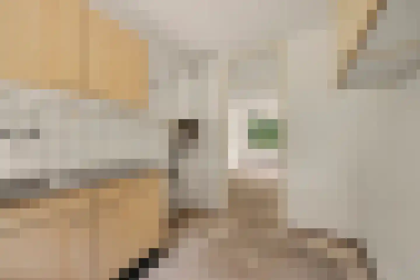 Vestahof 31 Rockanje thumbnail 17