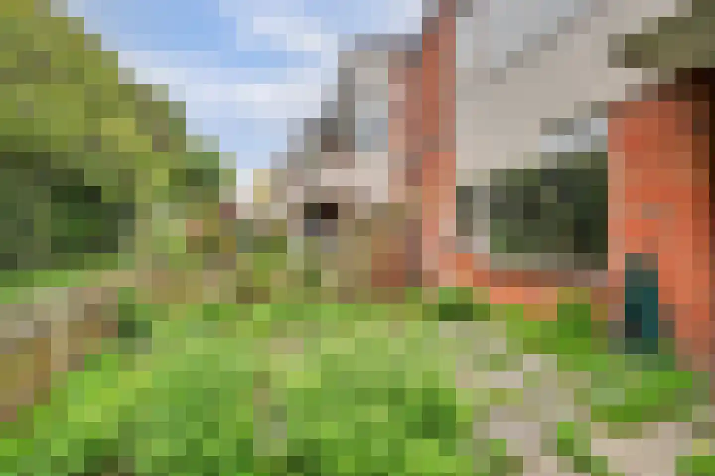 Vestahof 31 Rockanje thumbnail 23